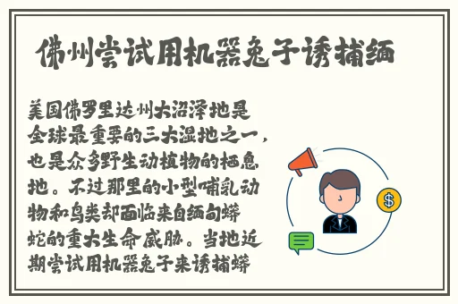 可以把自己看下面流的文案